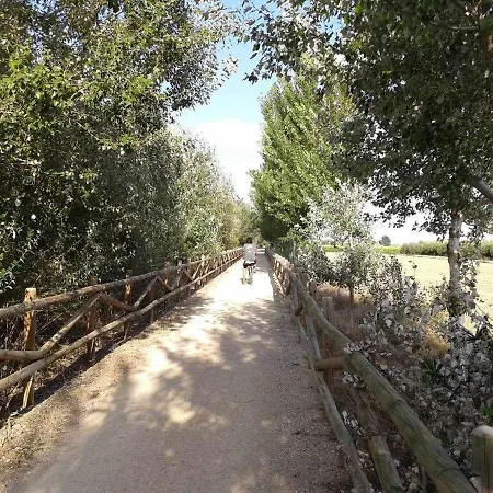 Casetes Del Delta Сasa de vacaciones Sant Jaume d'Enveja