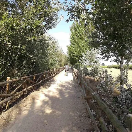 Casetes Del Delta Nyaraló Sant Jaume d'Enveja